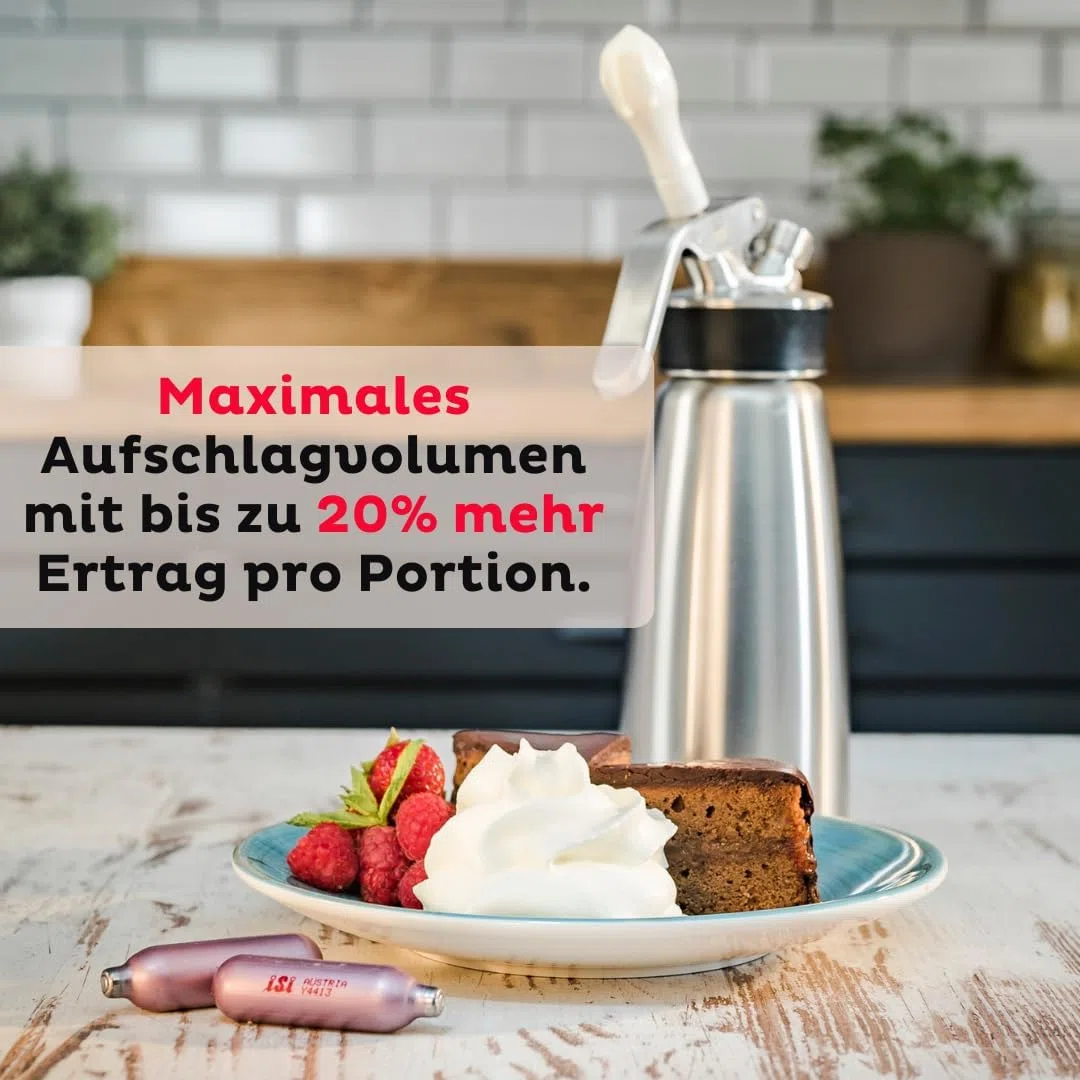 ISI Capsule per crema 2 x 24 pezzi – Professional Charger capsule per crema – Premium N2O capsule per crema in acciaio – Certificato HACCP – Made in Austria