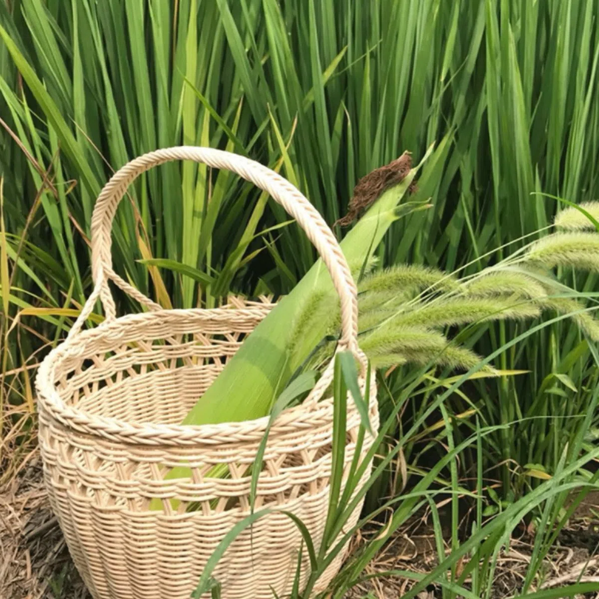 Rattan Rotolo Vimini da Intrecciare Rattan Naturale, Materiale per Lavori di Intreccio Riparazioni Mobili Canne per Cesti, Fai da Te, Rotolo Cesti Bastoncini Bastoncini Profumati per Ambienti ( Color