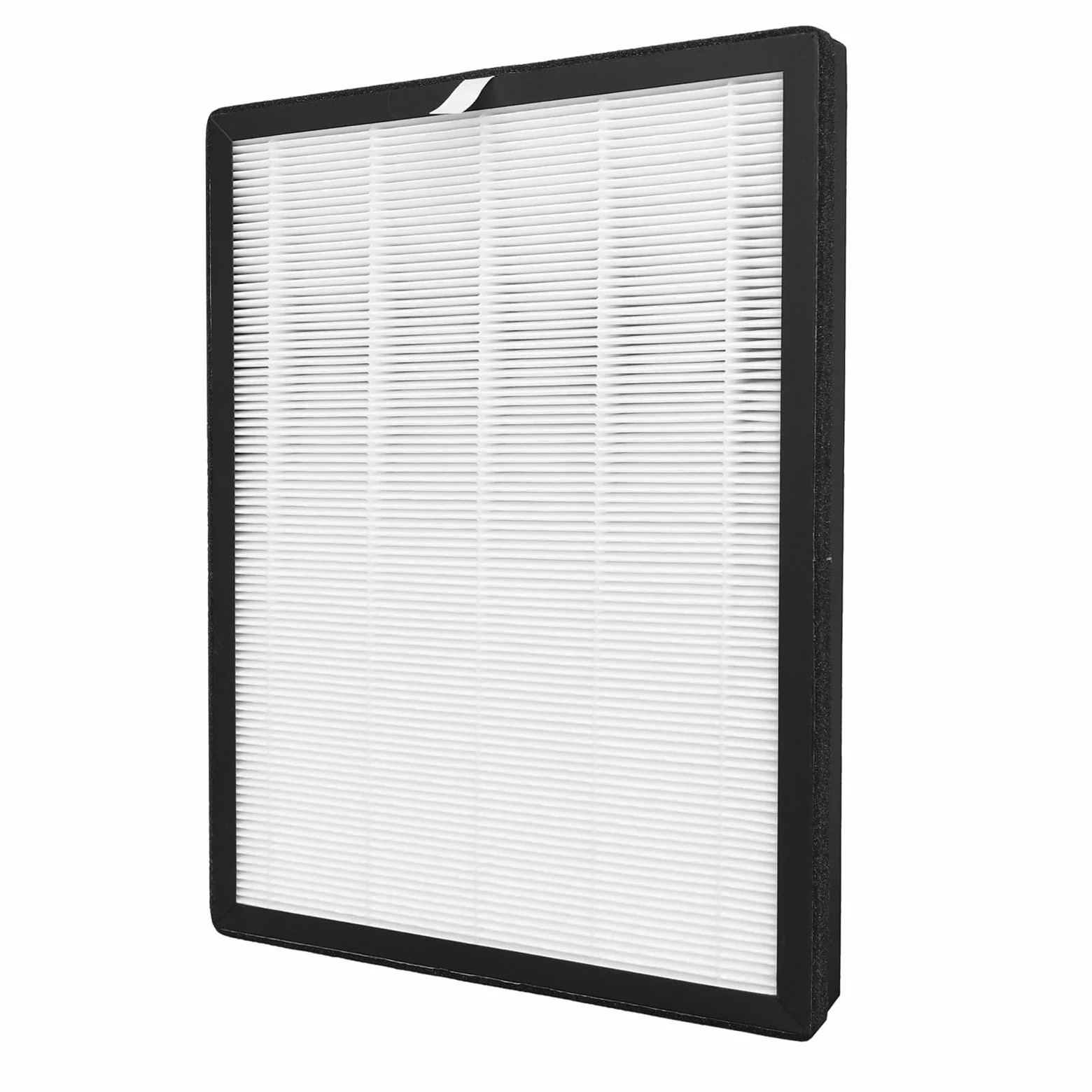 XD6220F0 - Filtro HEPA e carboni attivi per Rowenta Pure Air Essential PU2530 PU2530F0 filtro 2 in 1