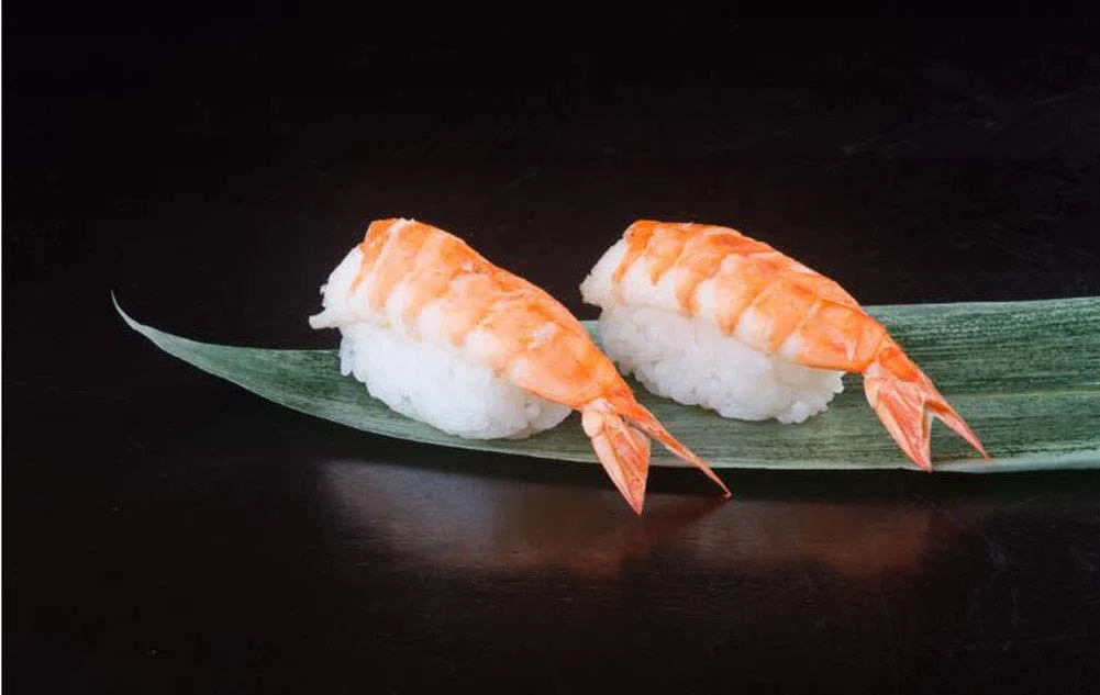 150 fogli freschi sottovuoto, foglie di bambù, naturale selvaggio foglia di bambù sushi cucina barbecue decorazione zongzi materiale