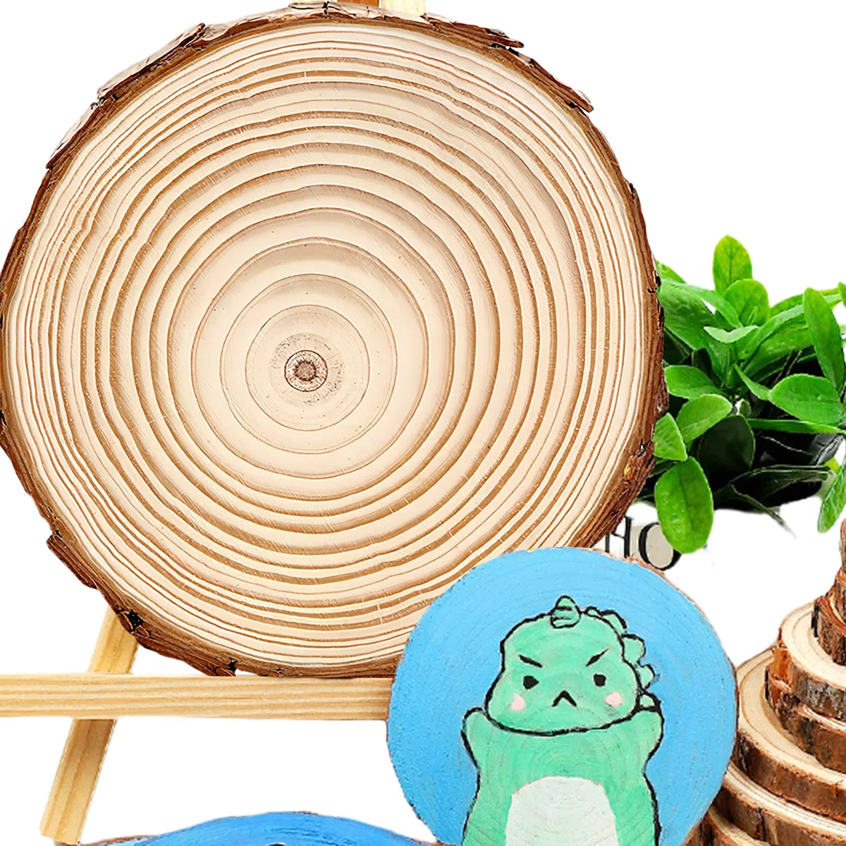Dischi Legno Grezzo, 6 Pezzi Dischetti Legno Grezzo Legno Da Decorare Diametro 18-20cm, Cerchi Legno Tondo Grezzi Senza Buco, Fette Di Legno Con Corteccia per Fai Da Te, Matrimoni, Natale Decorazioni
