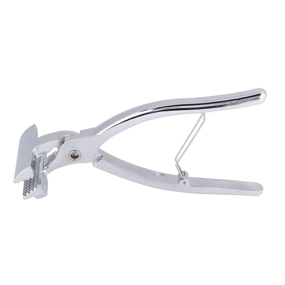 Pinza allungante su tela, pinza per tela, pinza per tela, pinza professionale per tela morsetto di serraggio per pittura a olio