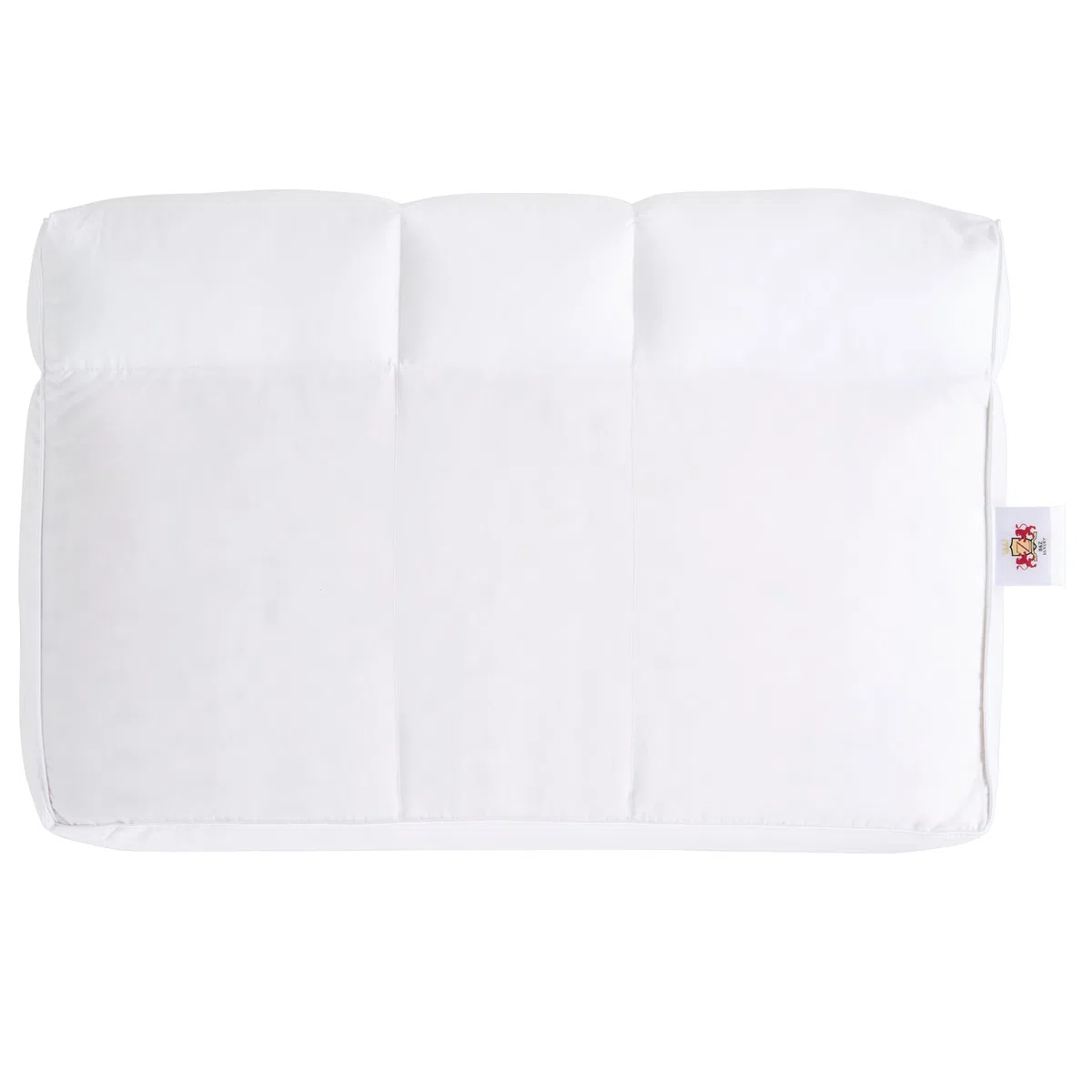 B&Z Luxury Cuscino per Cervicale 60x40x12 cm 30% Piumino d’Oca + 70% Fibra HCS, Guanciale con Doppio Lato Morbido e Rigido, Supporto Ergonomico per Fianco e Schiena, Traspirante | Dispositivo Medico