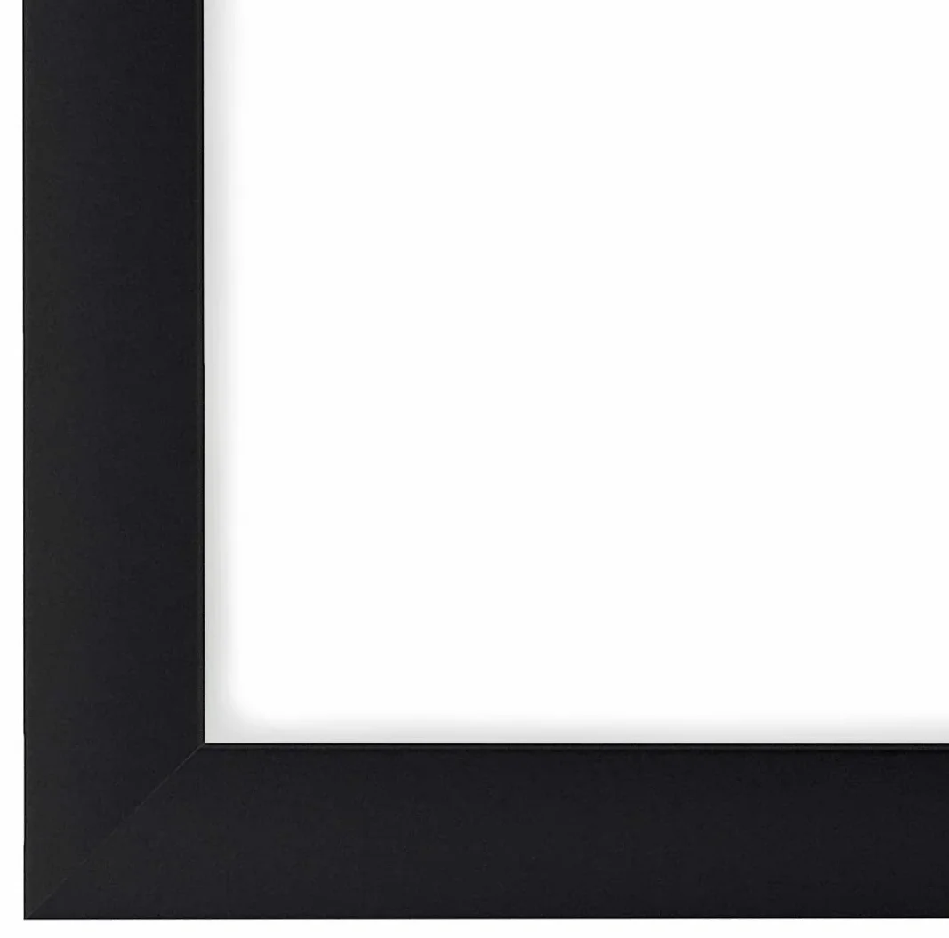 FRAMO 35mm Cornice per Immagini 66 x 27 cm | Nero Opaco | Cornice in MDF Fatta a Mano con lastra di Vetro Artificiale antiriflesso a Prova di Rottura e Robusta Parete Posteriore in MDF