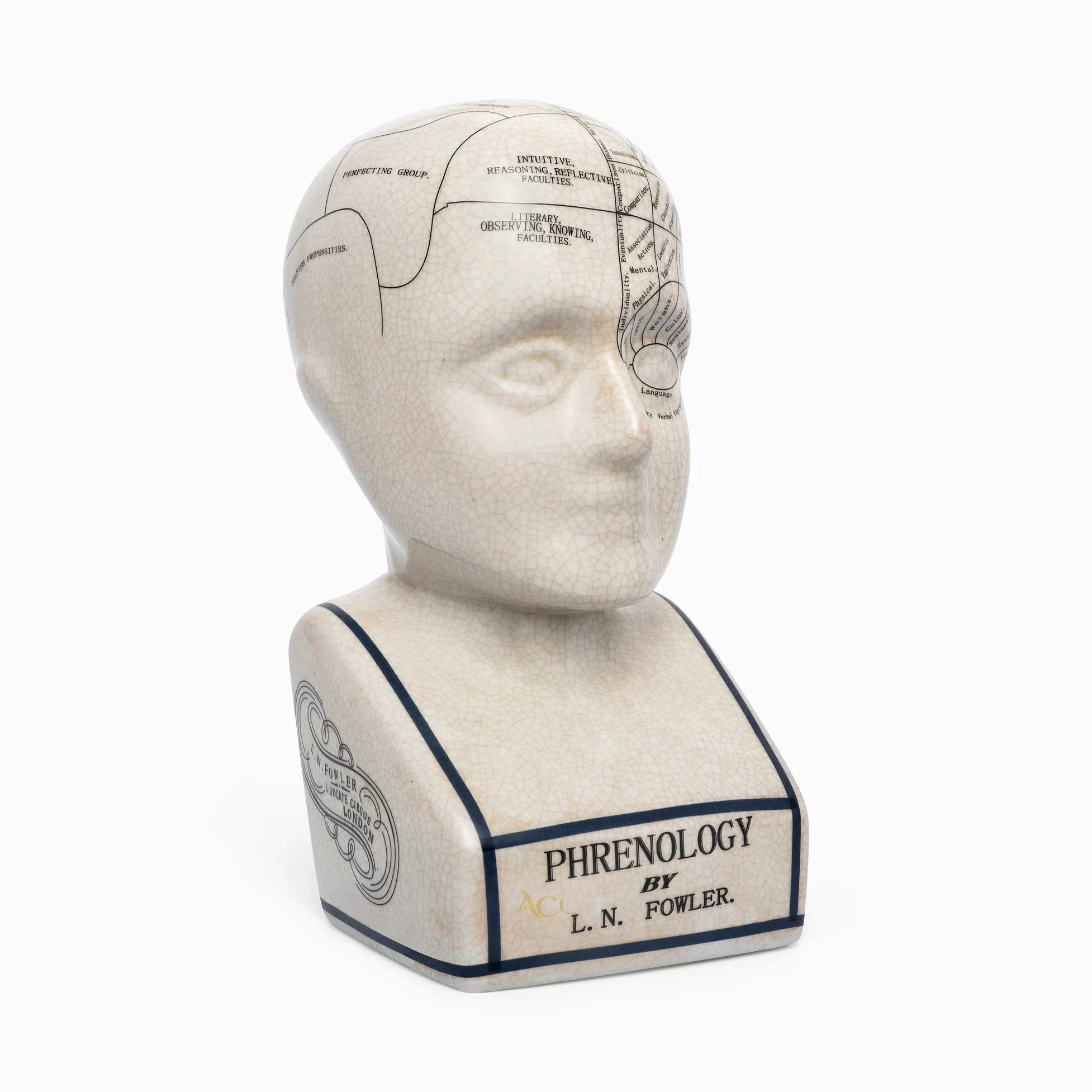 ACL Phrenology Head – Ornamento in ceramica da collezione Retro Busto – Finitura smaltata – Scrivania del medico – LN Fowler – Statua della predizione – Sensi cerebrali 28 cm – Bianco