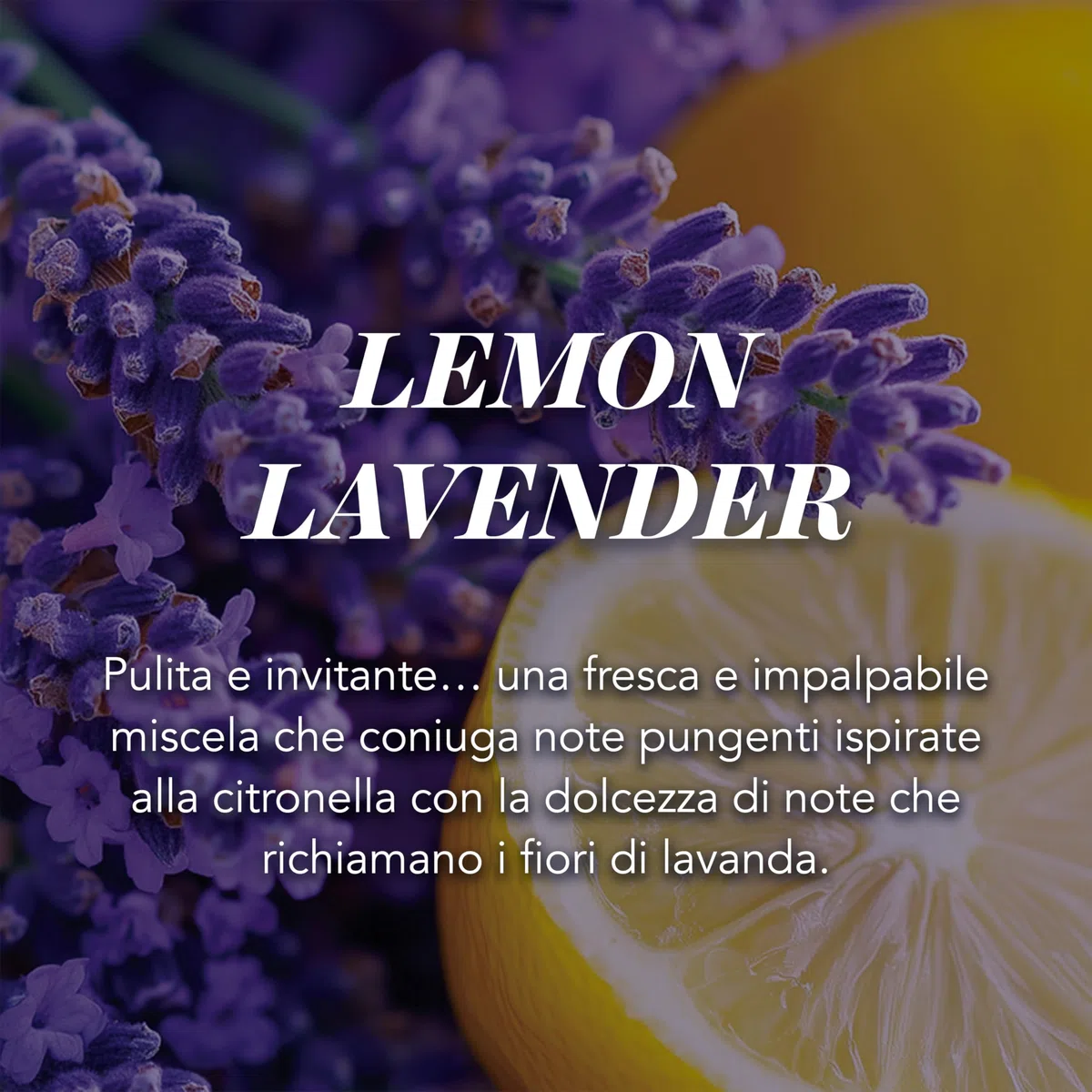 Yankee Candle Candela profumata in giara grande | Bastoncino di cannella | Durata Fino a 150 Ore | regalo perfetto per le donne
