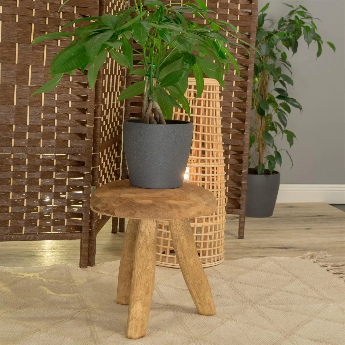 Rustico Sgabello Klara | 28 cm, Legno di Mogano | Sgabello per Fiori, Sgabello per Piante, Sgabello Laterale Rotondo, Sgabello in Legno Naturale