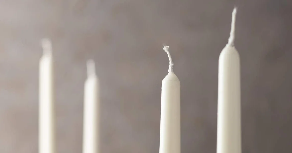 Papstar 17966 Cylinder White - Candele di cera, Confezione da 50 pezzi