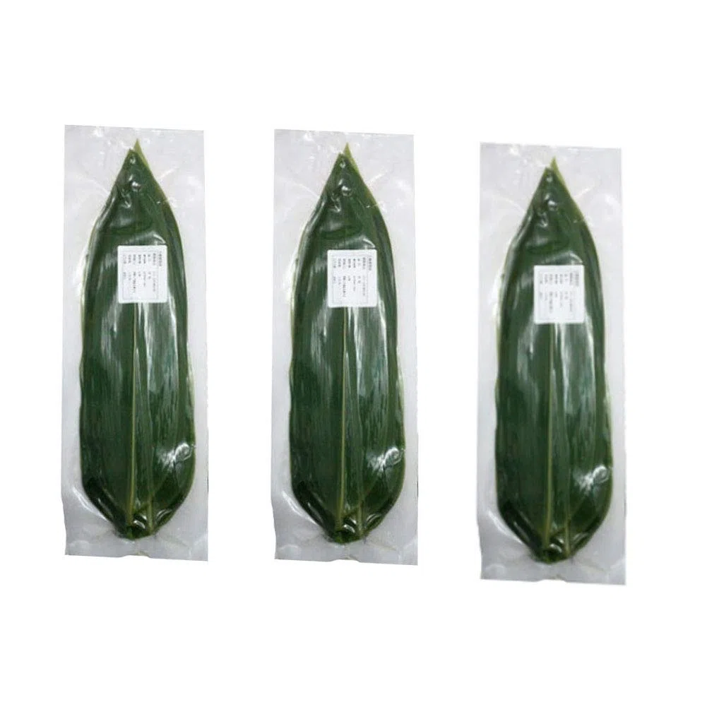150 fogli freschi sottovuoto, foglie di bambù, naturale selvaggio foglia di bambù sushi cucina barbecue decorazione zongzi materiale