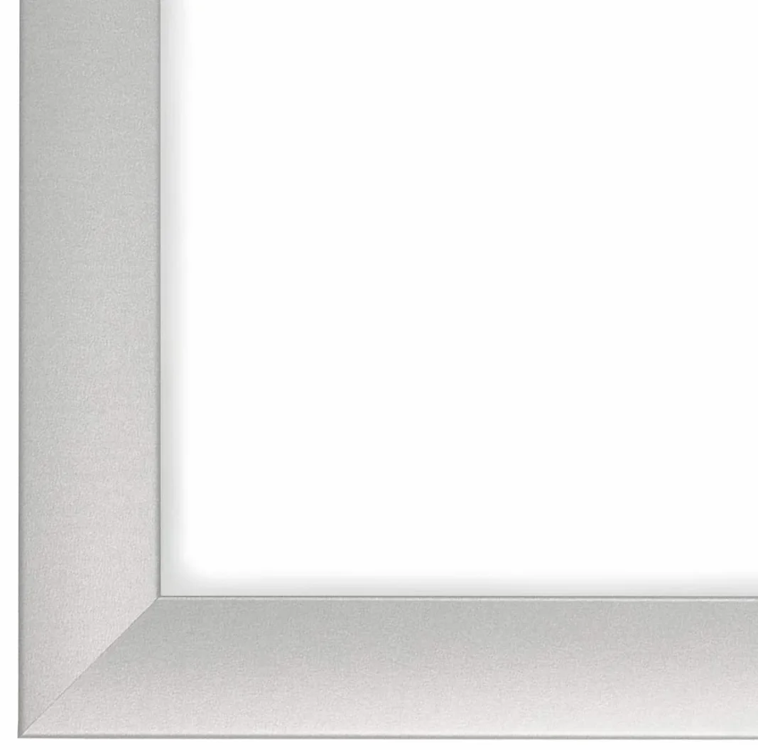 FRAMO 35mm Cornice per Immagini 62 x 45 cm | Argento Opaco | Cornice in MDF Fatta a Mano con lastra di Vetro Artificiale antiriflesso a Prova di Rottura e Robusta Parete Posteriore in MDF