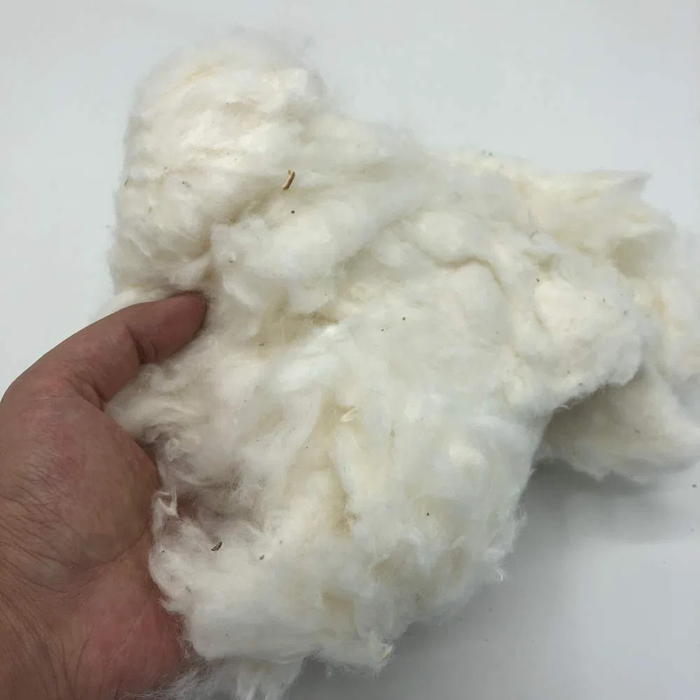 Ivie - Imbottitura in fibra di cotone biologico grezzo, colore naturale, ecologica, per cuscini e bambole 2lbs