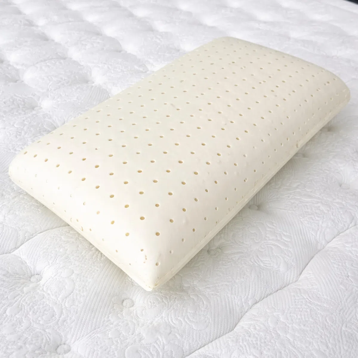 Materassi Russo Coppia Cuscini Memory Foam 40x70 cm, Altezza 18 cm, Guanciali Letto Modello Saponetta Medio Morbidi con Fodera Aloe Vera Sfoderabile, Made in Italy