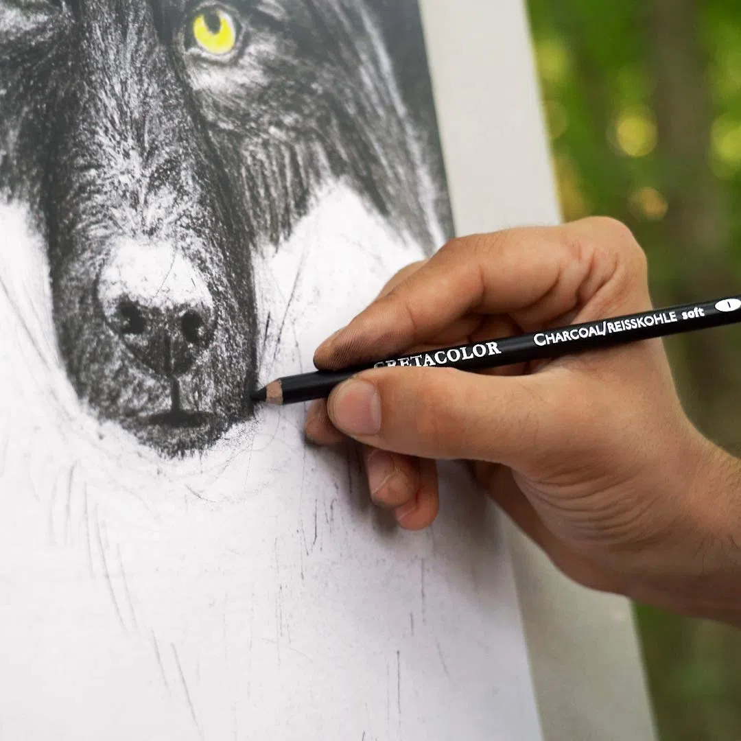 CRETACOLOR Wolf Box, Nero - Bianco Set di Segni, 25 pezzi, utensili da disegno di alta qualità, tra cui Knetradierer & Künstlerspitzer, e pelle lucida