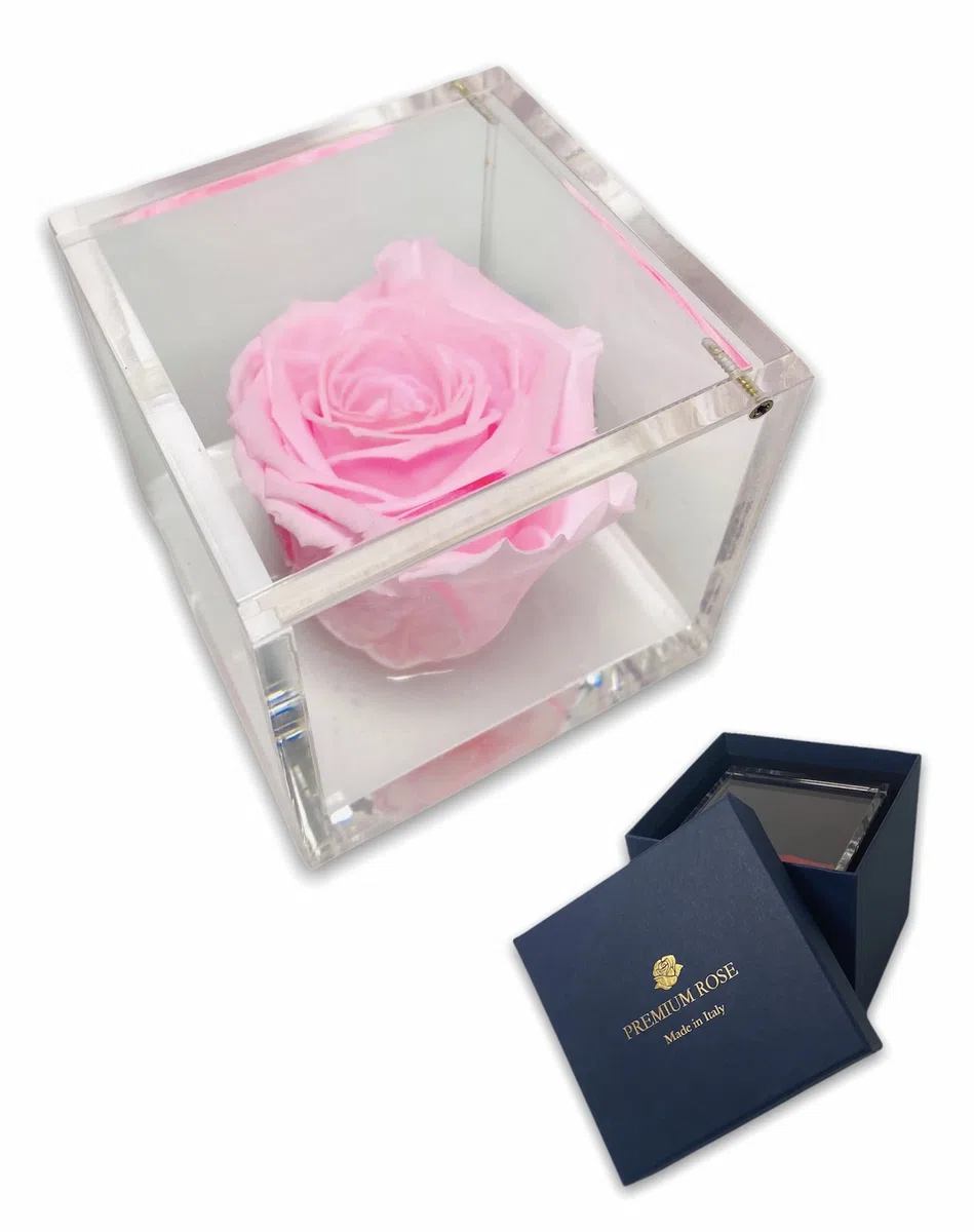 S 1085 Luxury Rose Stabilizzate Vere in Cubo più Spesso Luxury 8 e Scatola Regalo Lusso, Cubo Rosa stabilizzata Rosa, Rosa eterna