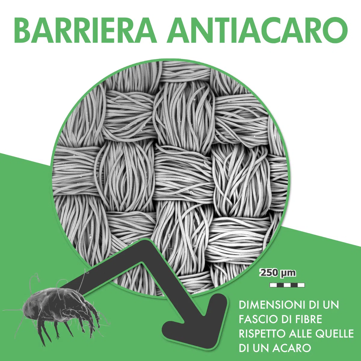 Welldora Coprimaterasso Antiacaro Premium – Copri Materasso Antiacaro Anallergico Testato - Rivestimento con Cerniera - Biancheria da Letto Anallergica (180x200x28cm)