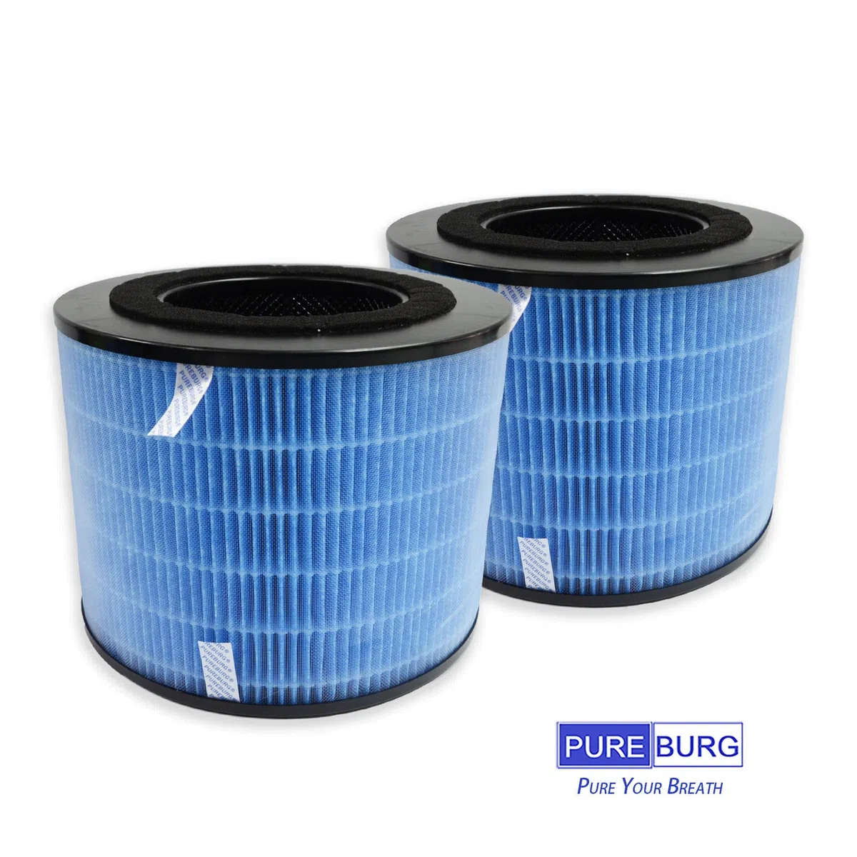 PUREBURG FYM220 Filtro di ricambio compatibile con PHILIPS AMF220 AMF220/15 purificatore d'aria FYM220/30,2 pezzi H13 HEPA filtrazione a 4 stadi