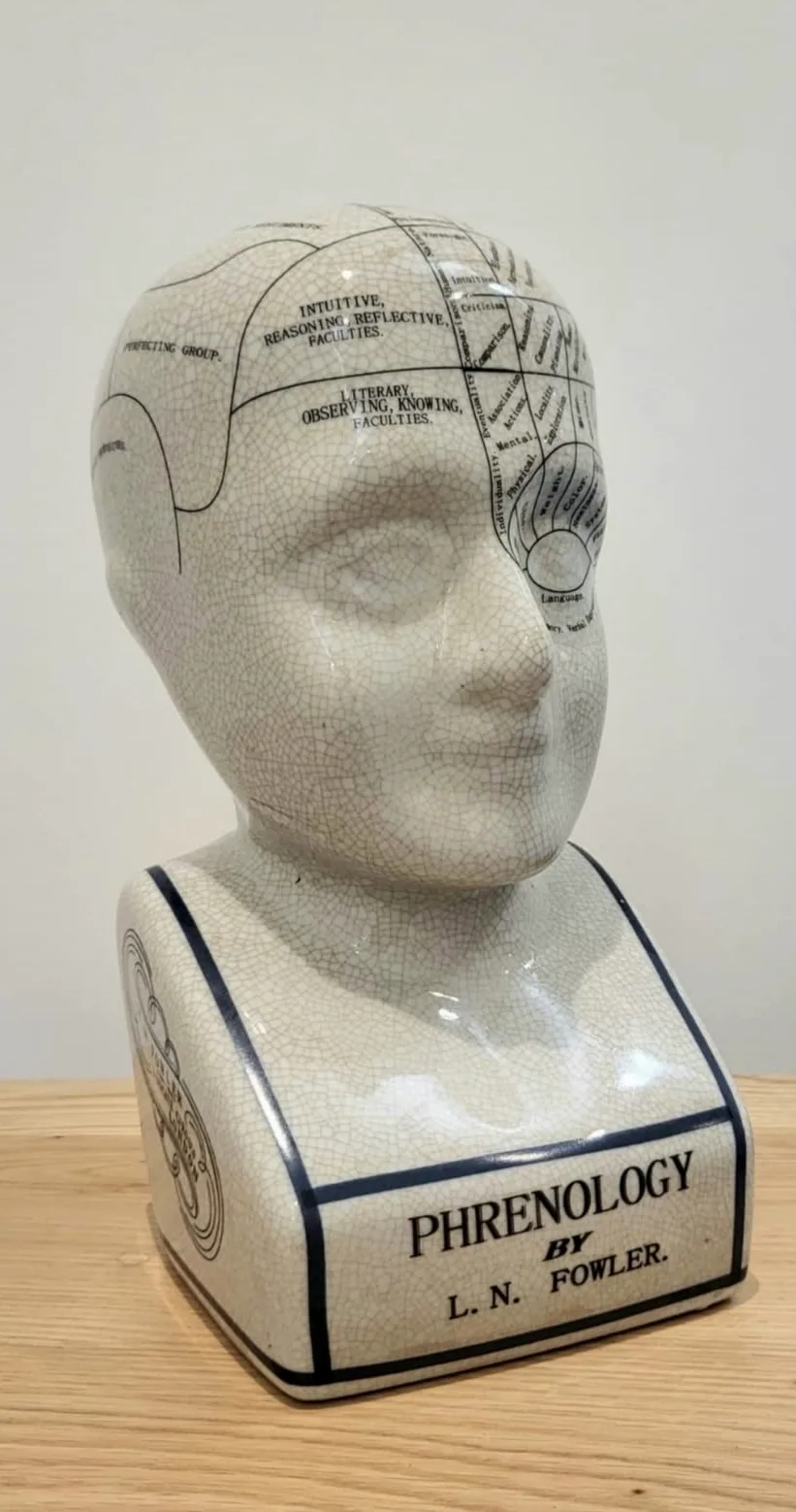ACL Phrenology Head – Ornamento in ceramica da collezione Retro Busto – Finitura smaltata – Scrivania del medico – LN Fowler – Statua della predizione – Sensi cerebrali 28 cm – Bianco
