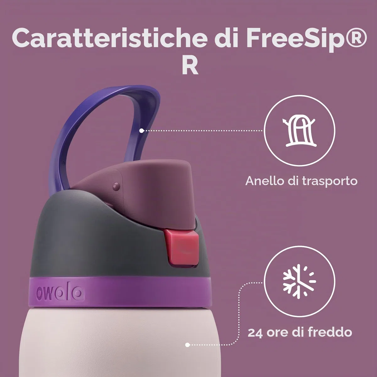 Owala FreeSip Borraccia Termica Acciaio Inox con Cannuccia, 945 ml – Bottiglia Termica Isolata per Sport e Viaggio, Senza Perdite, Senza BPA, Dreamy Field