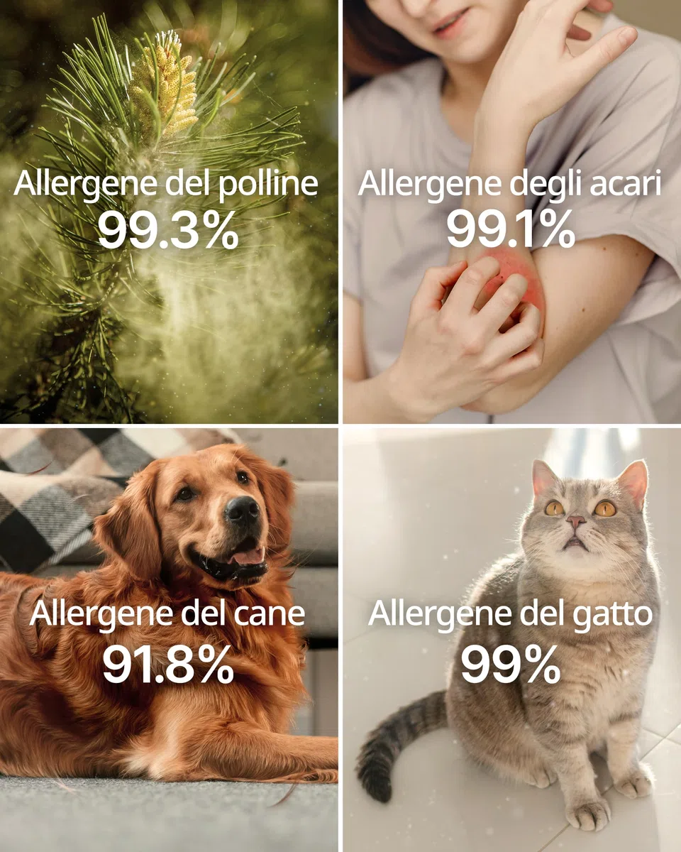 COWAY Filtri di ricambio per Airmega Mighty AP-1512HH e 200M – 2 filtri anti-allergeni + 1 GreenHEPA in un unico pacchetto – Ideale per allergici, efficace fino a 1 anno