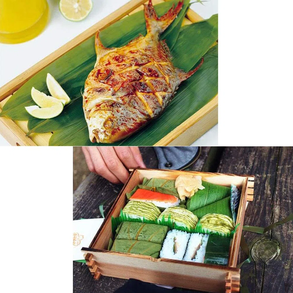 150 fogli freschi sottovuoto, foglie di bambù, naturale selvaggio foglia di bambù sushi cucina barbecue decorazione zongzi materiale