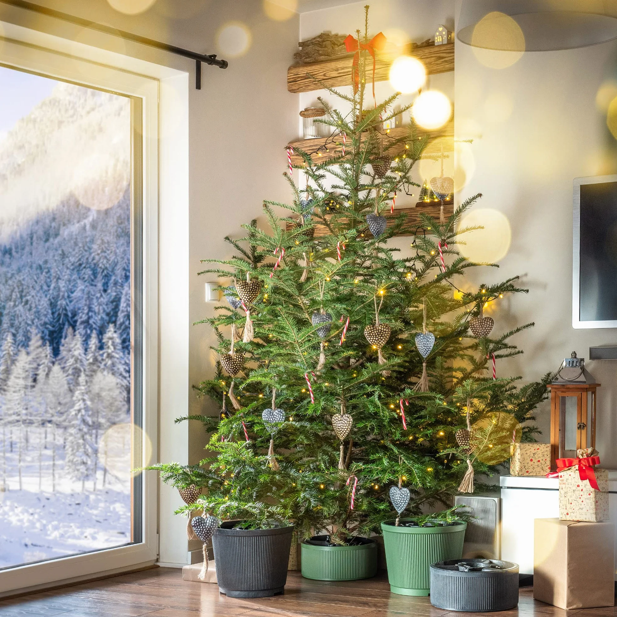 KADAX Supporto per Albero di Natale in Plastica Riciclata (Altezza Fino a 250 cm/Verde)