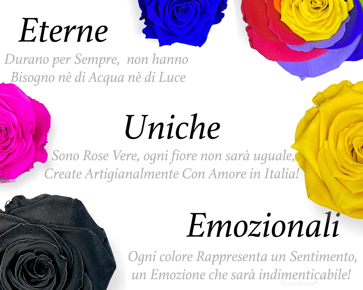 S 1085 Luxury Rose Stabilizzate Vere in Cubo più Spesso Luxury 8 e Scatola Regalo Lusso, Cubo Rosa stabilizzata Rosa, Rosa eterna