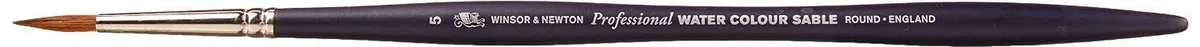 Winsor & Newton Pennelli in Martora per Acquarelli Artists - Manico Corto - Tondo N 5