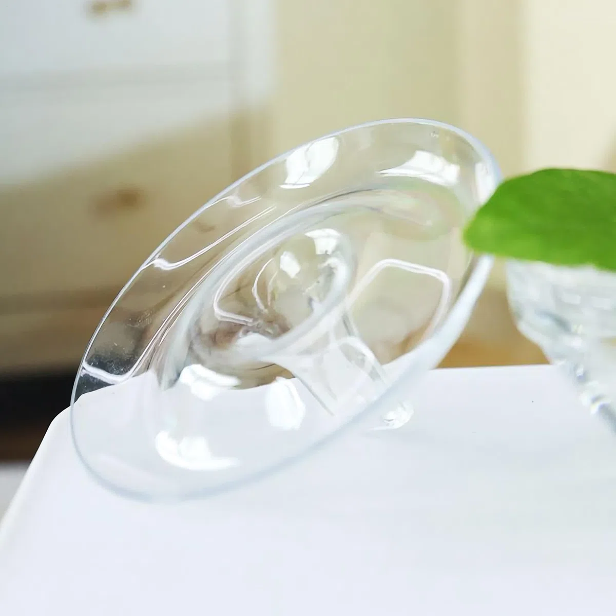 10 Pezzi Supporti Galleggianti Creativi per Composizioni Floreali, Supporti per Composizioni Floreali, Supporto Galleggianti Idroponici per Fiori, Espositori Florealo, Mini Vaso per Ciotole e Aacquari