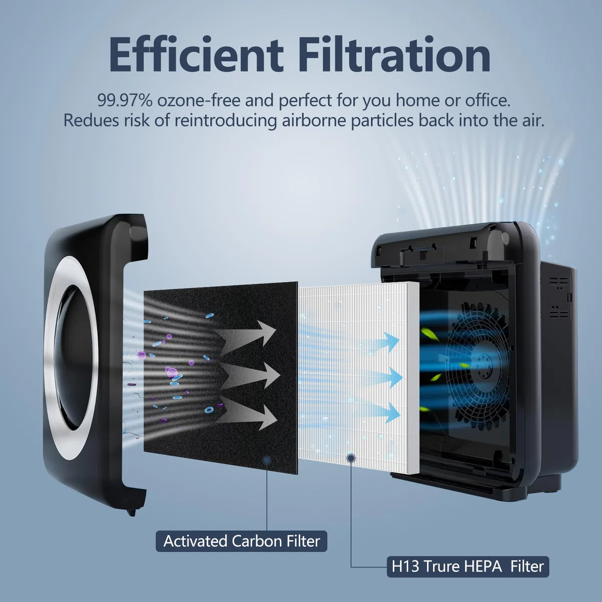 AP-1512HH Filtro di ricambio compatibile con purificatore d'aria Coway Airmega AP-1512HH, filtro di ricambio H13 True AP1512hh, 2 filtri True HEPA + 8 filtri a carbone attivo