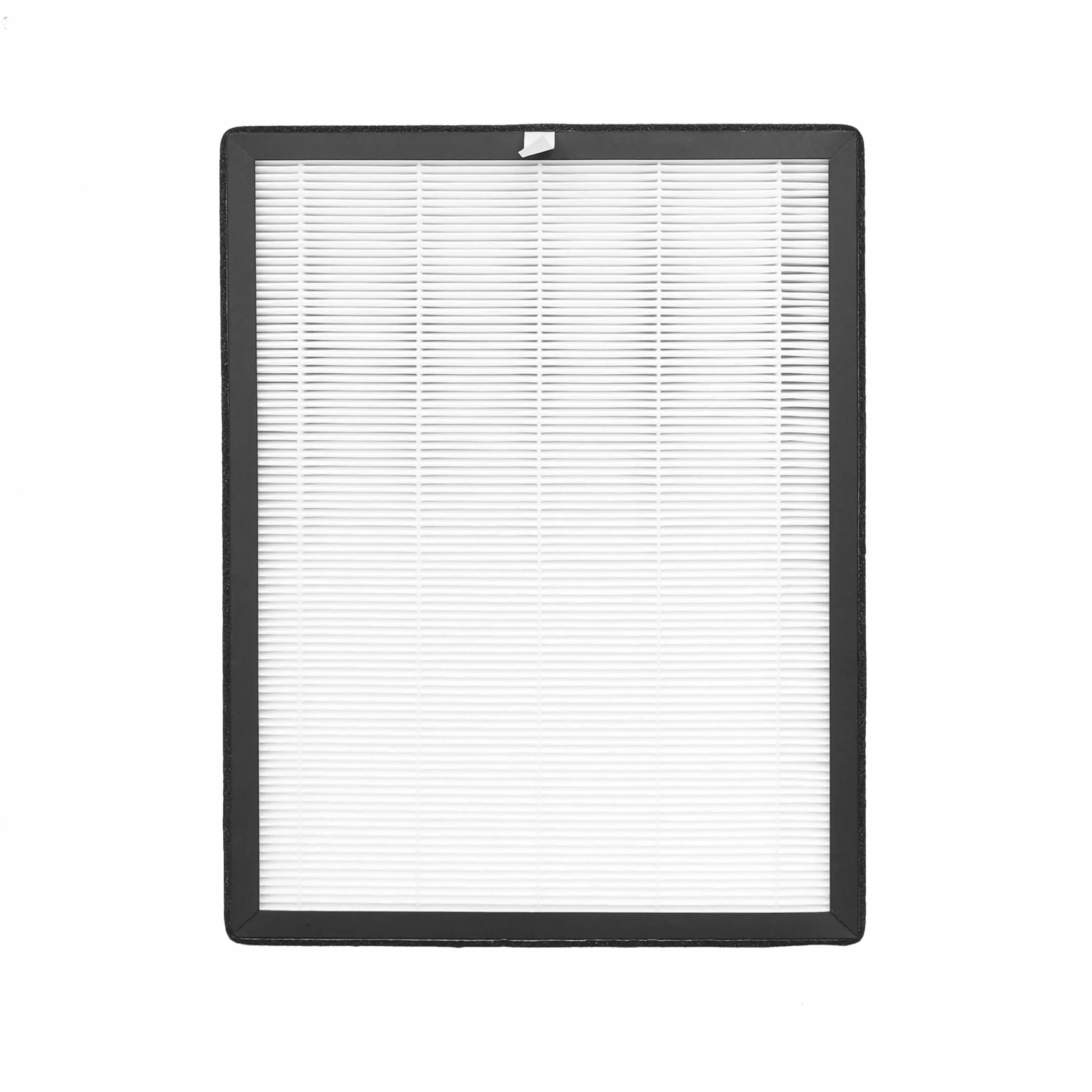 XD6220F0 - Filtro HEPA e carboni attivi per Rowenta Pure Air Essential PU2530 PU2530F0 filtro 2 in 1