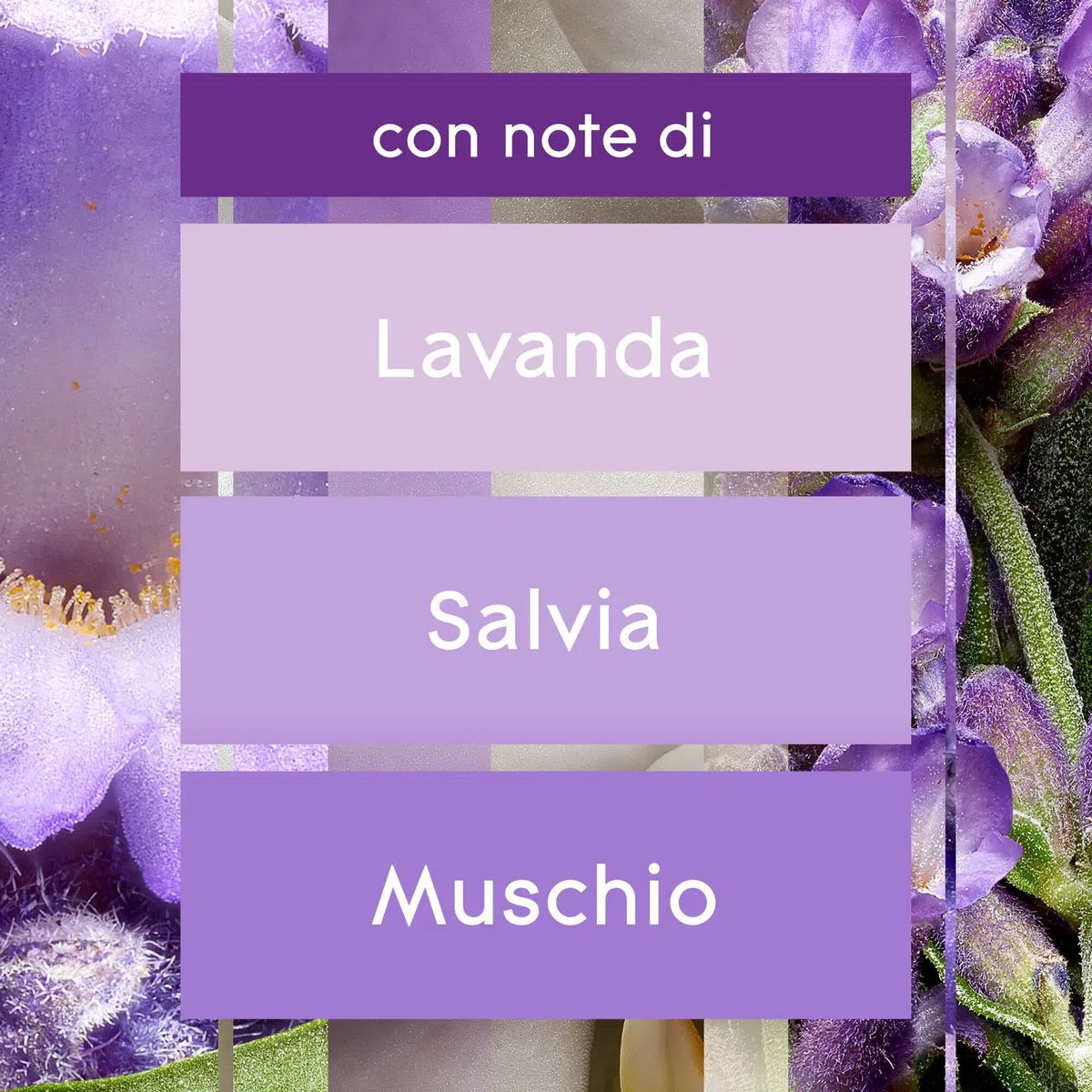 Glade Gel Assorbiodori Profumatore per Ambienti, Per Rinfrescare Stanze e Armadi, Fragranza Lavanda, Formato Scorta 12 Confezioni da 150 gr
