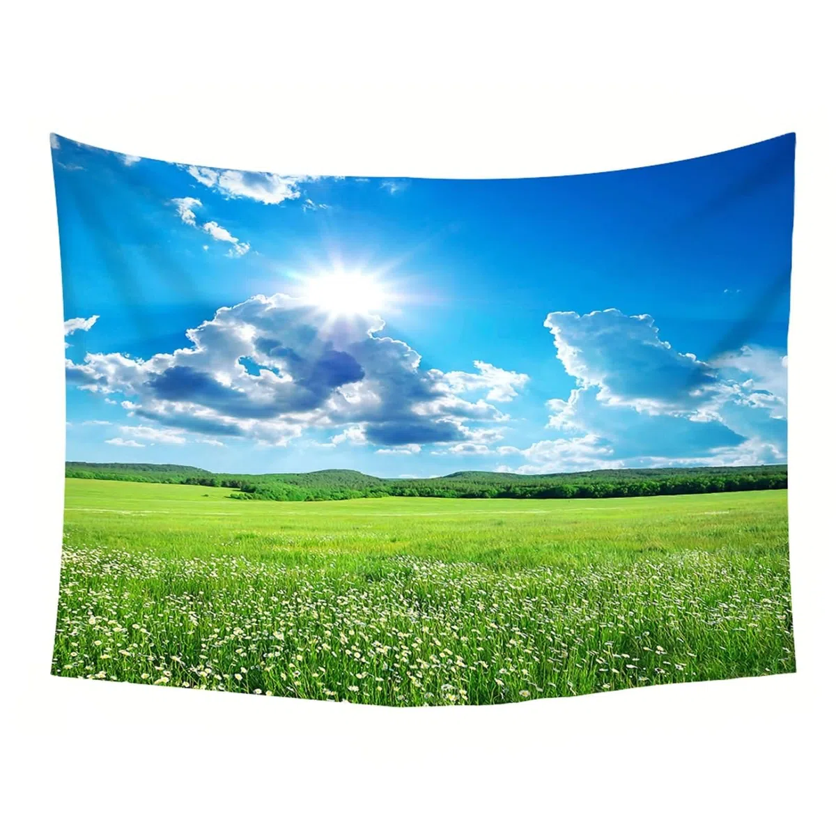 Homxi Arazzo Parete Camera da Letto 240 W x 220 H CM, Paesaggio di Prato e Sole, Poliestere Decorazione Parete, Blu Verde