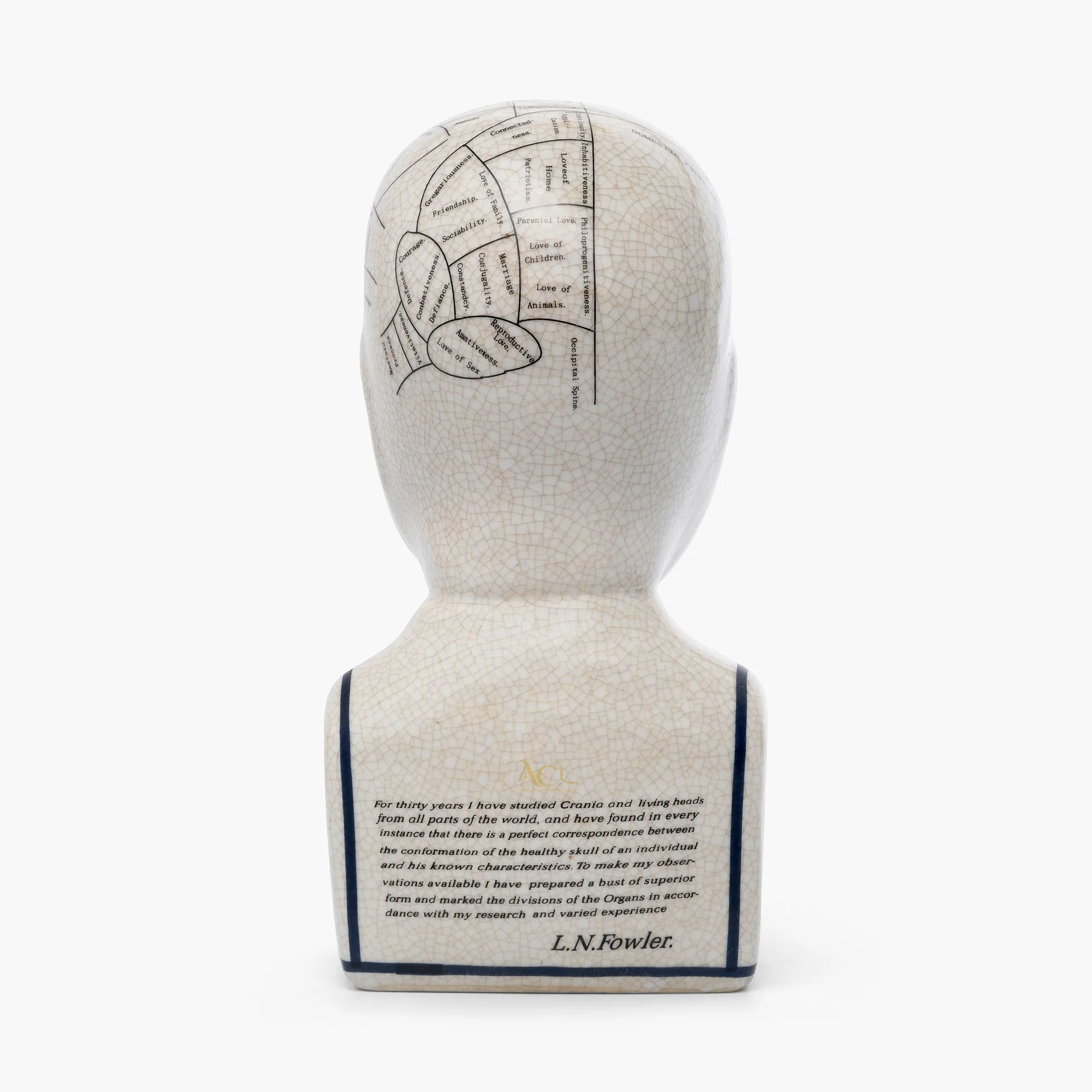 ACL Phrenology Head – Ornamento in ceramica da collezione Retro Busto – Finitura smaltata – Scrivania del medico – LN Fowler – Statua della predizione – Sensi cerebrali 28 cm – Bianco