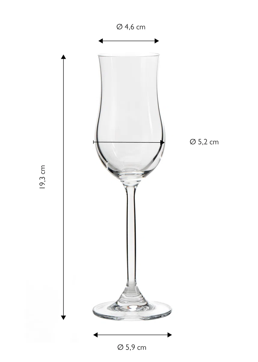 ECHTWERK Set di 6 bicchieri da grappa, 120 ml, robusti bicchieri da liquore a forma di tulipano, con manico lungo, per digestivi e formaggio, lavabili in lavastoviglie, 19,3 x 5,2