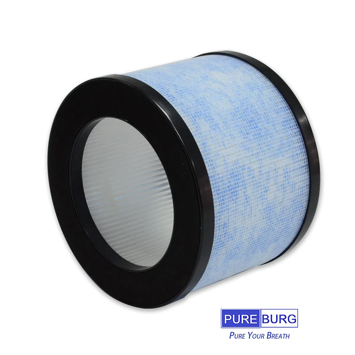 PUREBURG Filtro di ricambio compatibile con OMISOON JH01, CONOPU OJH001, purificatore d'aria JH01-LX, JH01, DH-JH01, confezione da 2 H13 HEPA