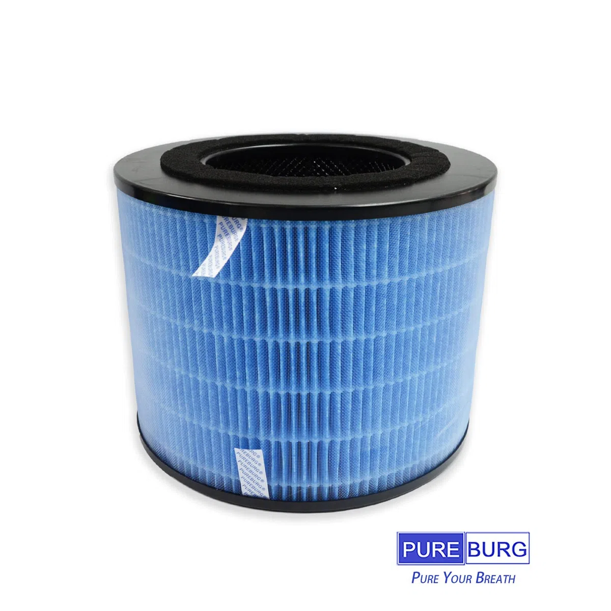 PUREBURG FYM220 Filtro di ricambio compatibile con PHILIPS AMF220 AMF220/15 purificatore d'aria FYM220/30,2 pezzi H13 HEPA filtrazione a 4 stadi