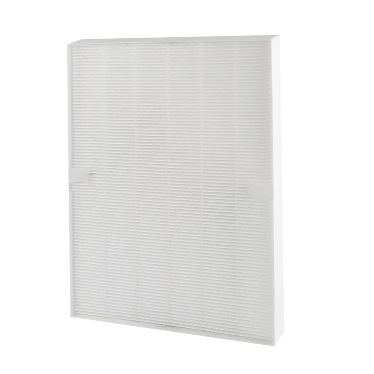 1 filtro True HEPA e 4 prefiltri compatibili con filtri di ricambio per purificatore d'aria Electrolux EAP300