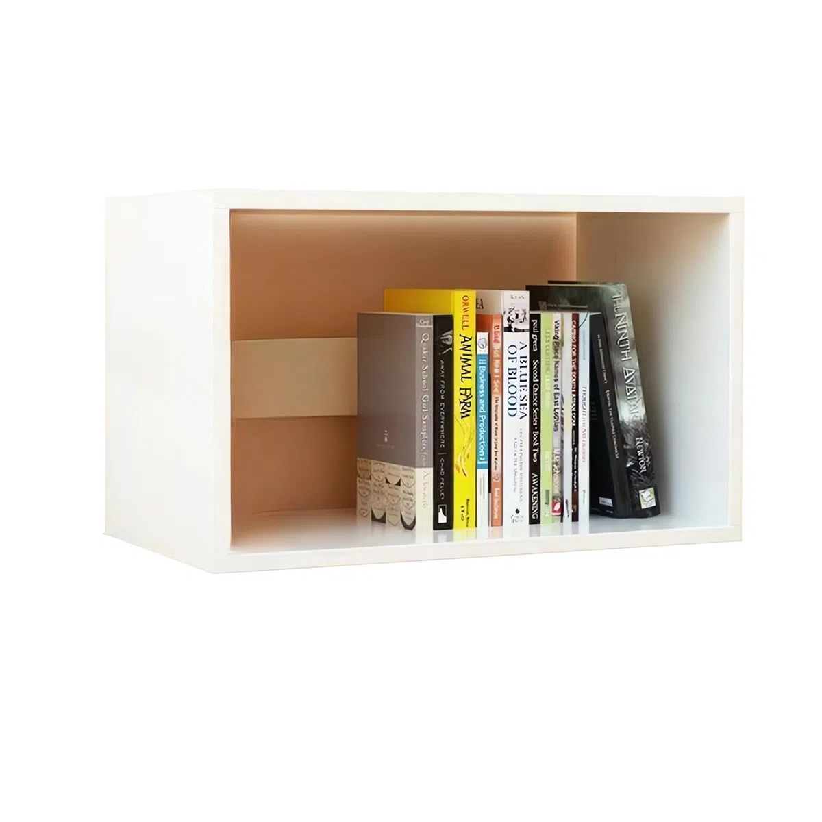 AUSHOPLAH Moderna libreria da scrivania in legno, 40 x 31,5 x 17 cm, design compatto per libri E210 (bianco)