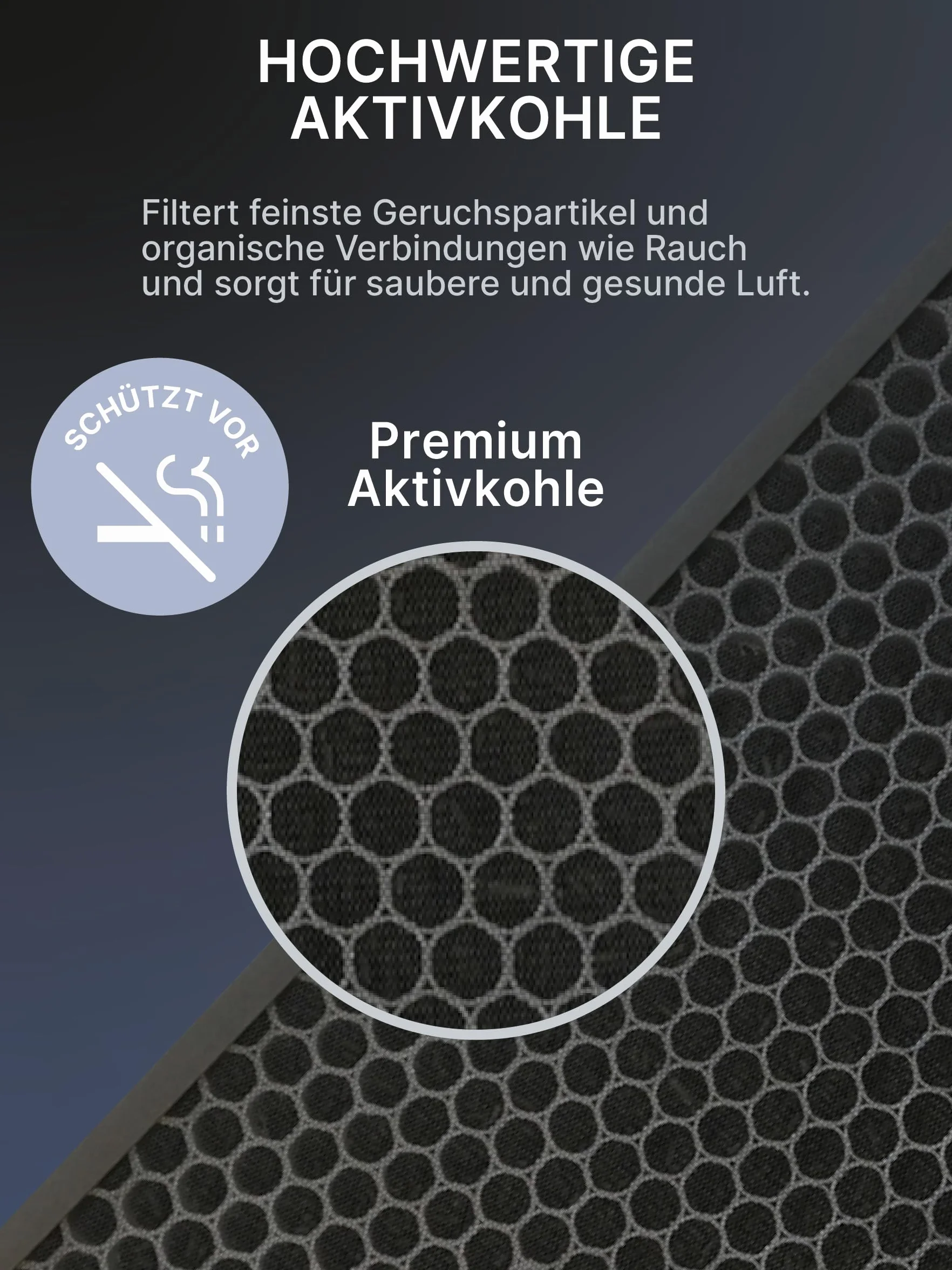 Comedes Set di filtri di ricambio per Philips AC1215/10 e AC2729/10 Purificatore d'Aria | HEPA e filtro a carbone attivo | applicabile al posto di Philips FY1410/30 e FY1430/30 (1)