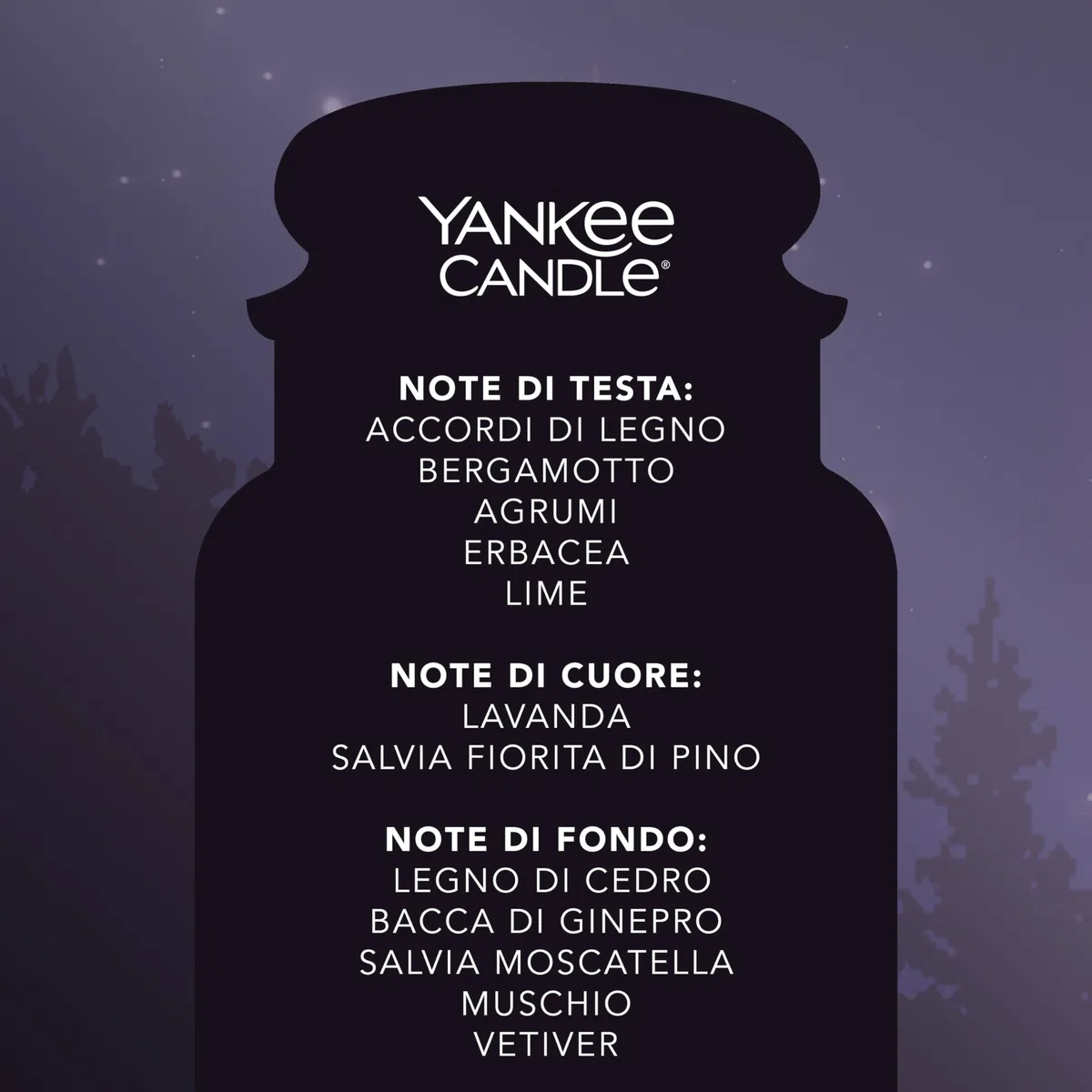 Yankee Candle Candela profumata in giara grande | Notte di Mezza Estate | Durata Fino a 150 Ore | Regali per donne