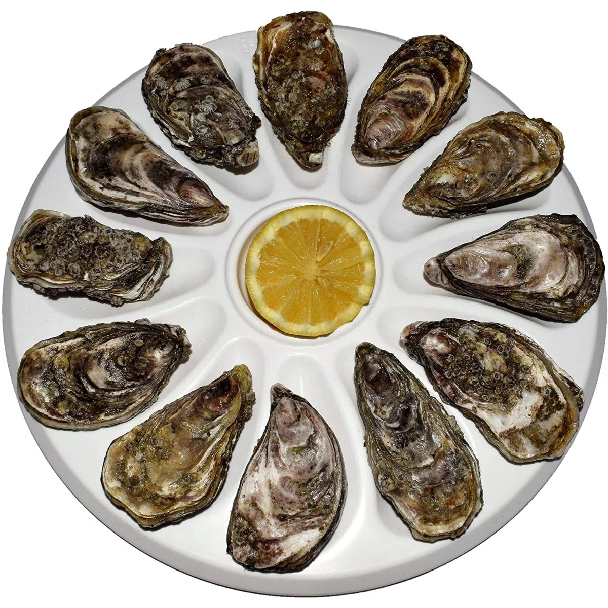 Set di 6 piatti per ostriche con 12 scomparti e 1 per il limone, salsa. Fabbricazione Francese Made In France A Base In Polipropilene Per La Casa, Il Ristorante, Diametro 30,5 Cm Colore Bianco