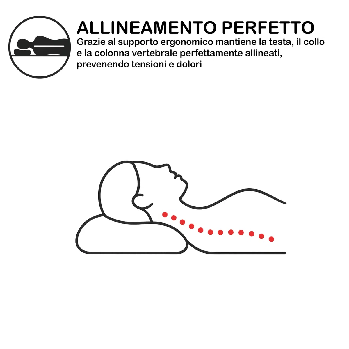 BCSHOP Cuscino Memory Foam Cervicale con Federa Aloe Vera - Guanciale Letto Ortopedico alto 13 cm - Cuscino Anatomico per Dormire Made in Italy Antibatterico Certificato Oeko Tex