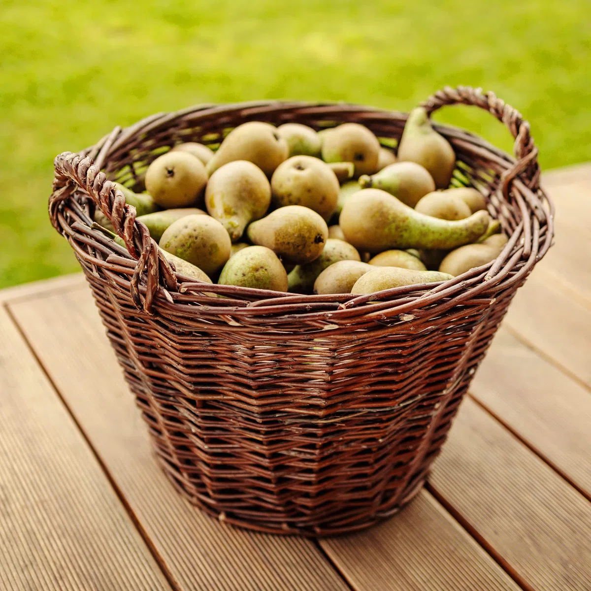 Creative Home Cesto in Vimini con Manici, Cesta Portalegna da Interno | Ø 45/30 cm – H 37 cm | Intrecciato a Mano | Salice Naturale | Cesto Multiuso per Legna, Frutta, Arredo Casa e Decorazione