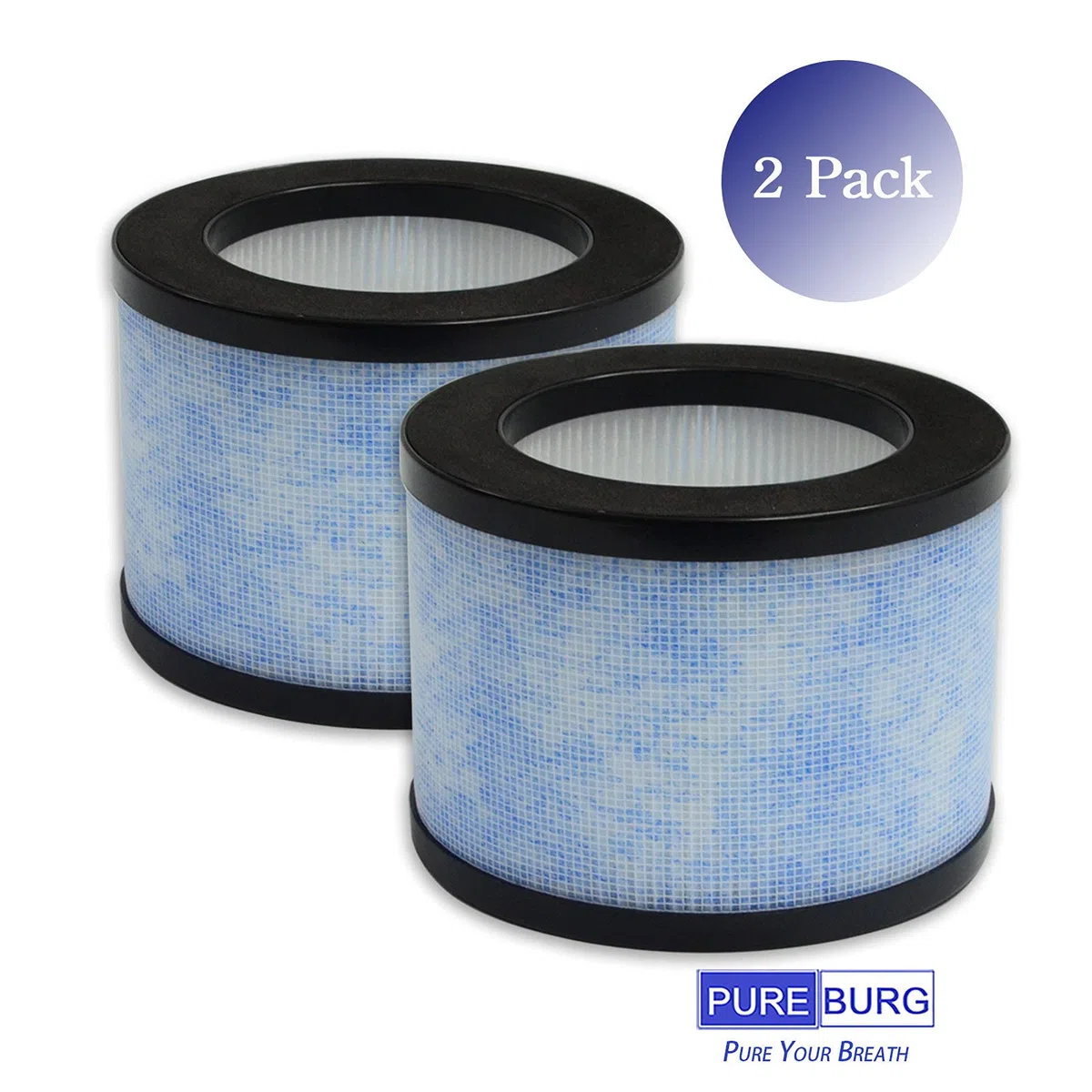 PUREBURG Filtro di ricambio compatibile con OMISOON JH01, CONOPU OJH001, purificatore d'aria JH01-LX, JH01, DH-JH01, confezione da 2 H13 HEPA