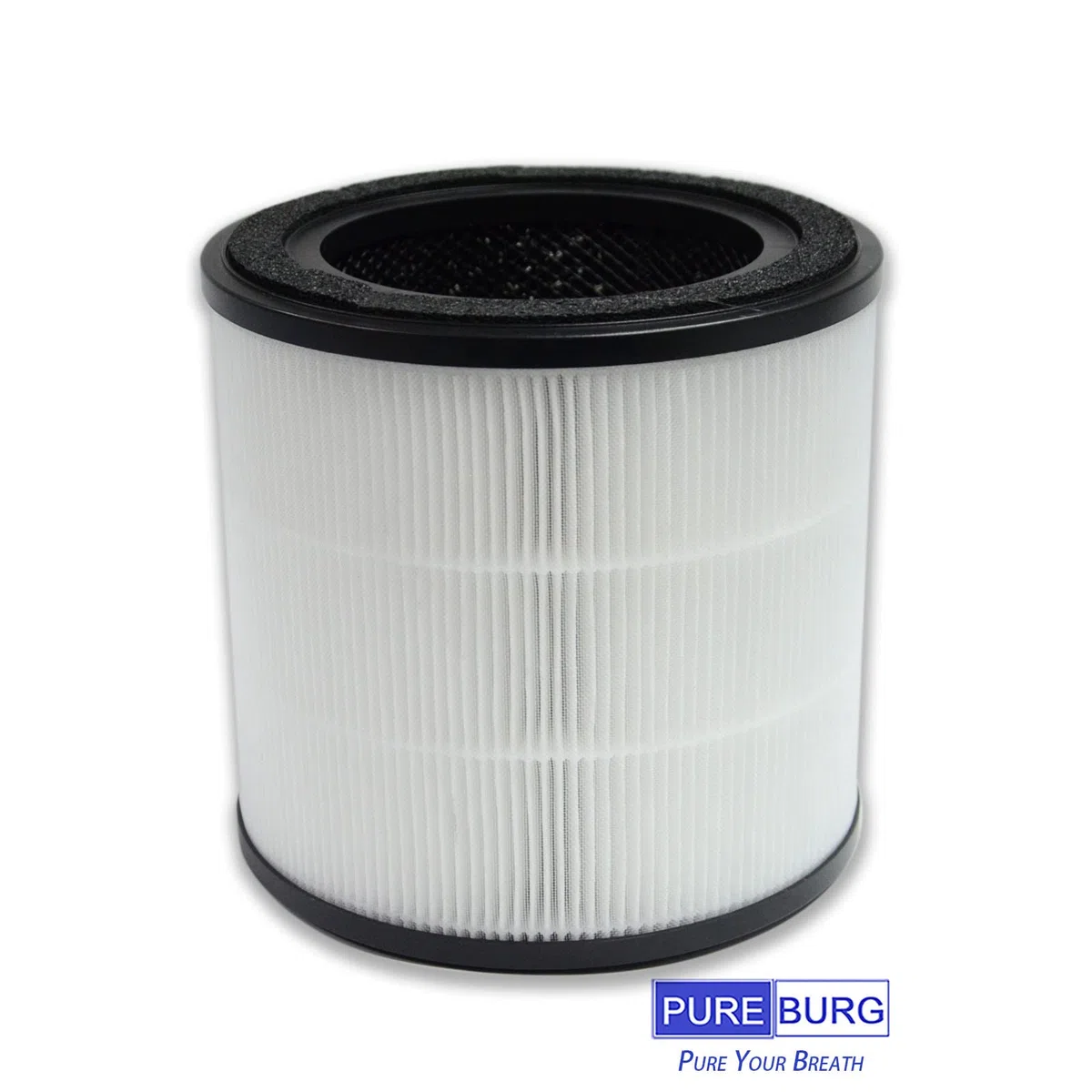 PUREBURG Filtro di ricambio compatibile con AEG Pure 5000 & AX3 e Electrolux Flow A3 A3UV, H13 True HEPA carbone attivo