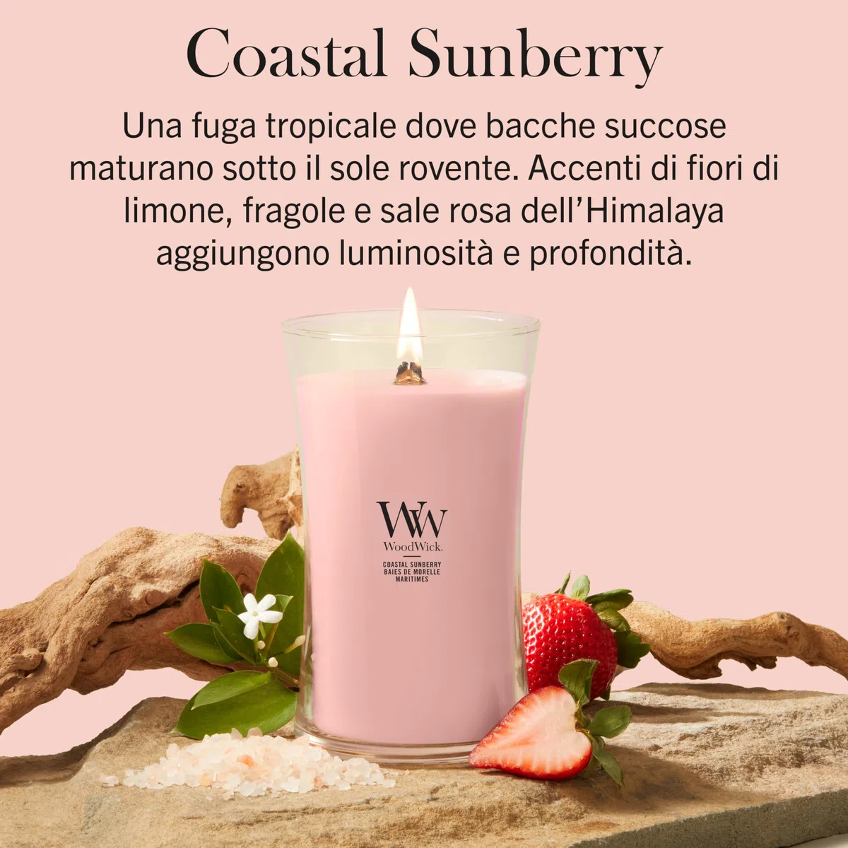 WoodWick Candela profumata | Candela Grande a Clessidra | Coastal Sunberry | Regali Perfetti per Donne