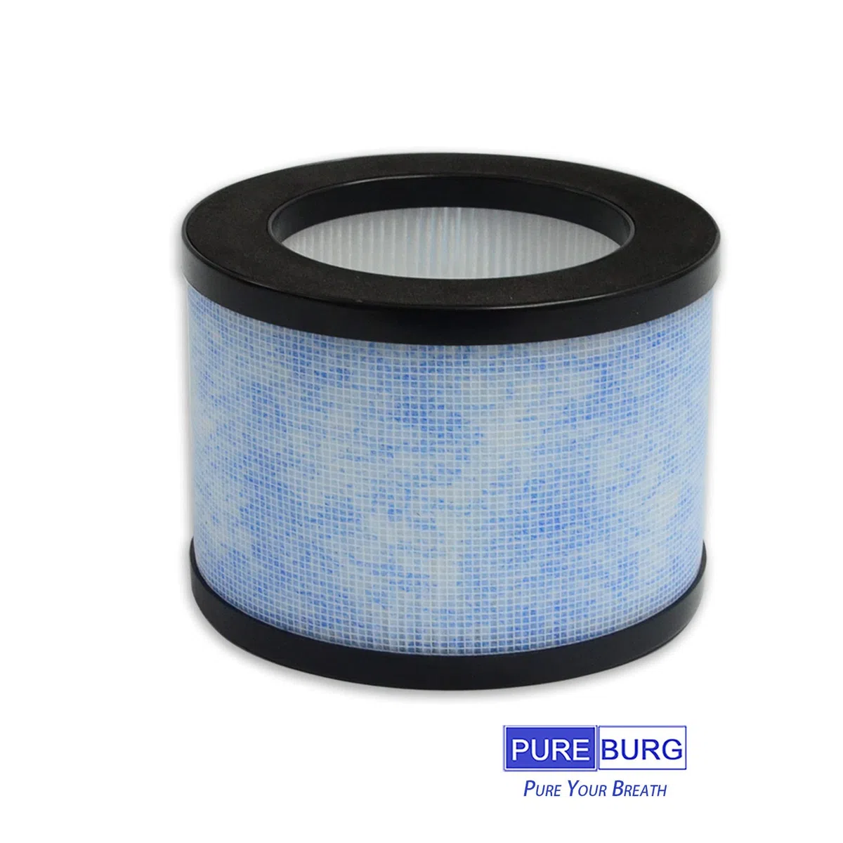 PUREBURG Filtro di ricambio compatibile con OMISOON JH01, CONOPU OJH001, purificatore d'aria JH01-LX, JH01, DH-JH01, confezione da 2 H13 HEPA