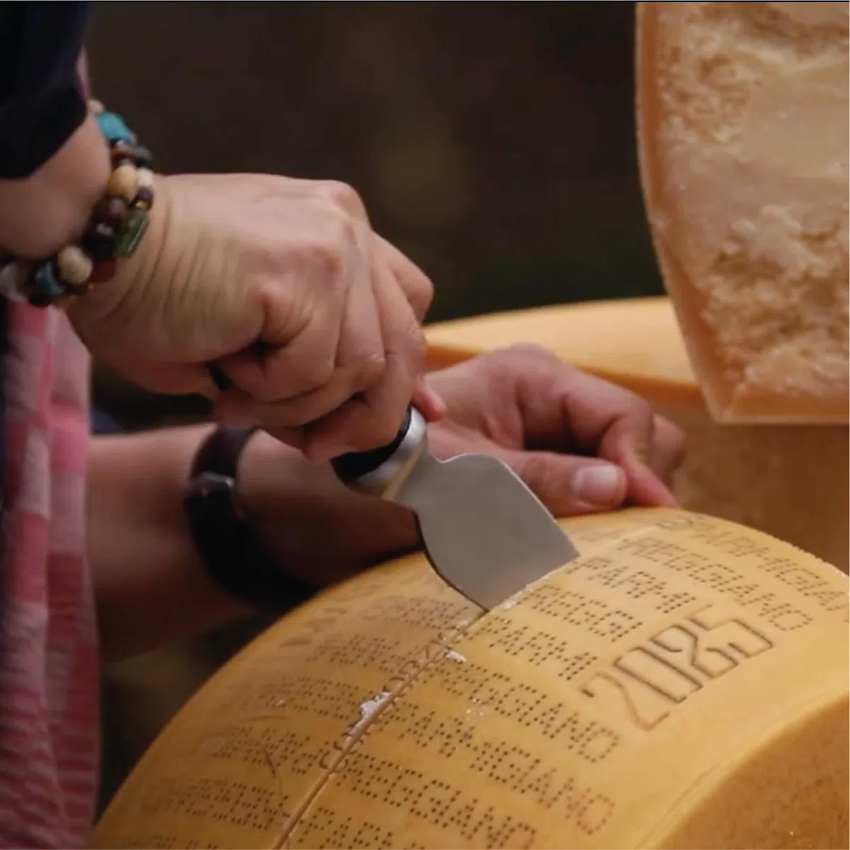 BOSKA Parmesan Knife Pro 110mm - Coltello professionale da parmigiano Qualità premium - Acciaio inox - Per formaggi duri come il Parmigiano - Collezione 1896