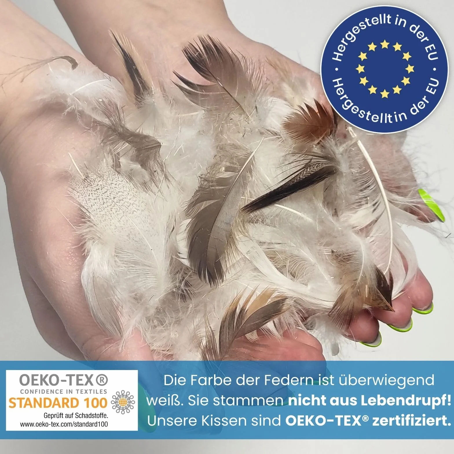 wometo Oeko-TEX, set di 4 cuscini in piuma, 100% piume, 50 x 50 – 600 g, in cotone, colore bianco e bianco