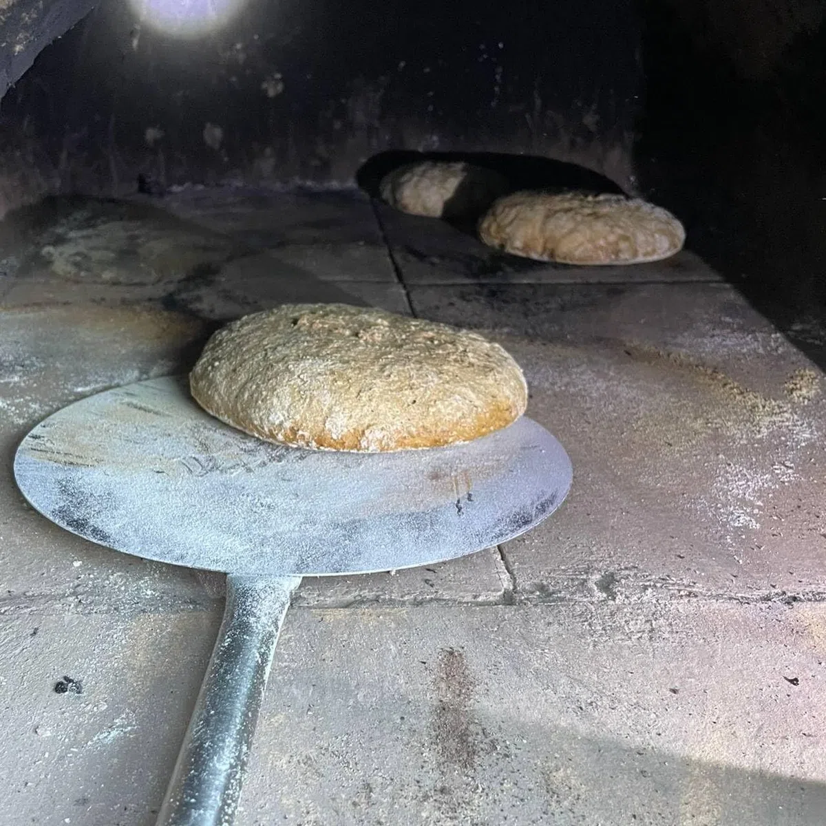 Giemme Palino per Pizza in Acciaio Inox AISI 430 22 cm Manico 113 cm | Piatto tondo da 22 cm. Acciaio inox AISI 430. Per forni profondi 100/110 cm.